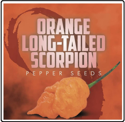Biosnyg Orange Long Tailed Scorpion Pepper Seeds For Kitchen Gardening-(2000 Seeds) Seed(2000 per packet)
