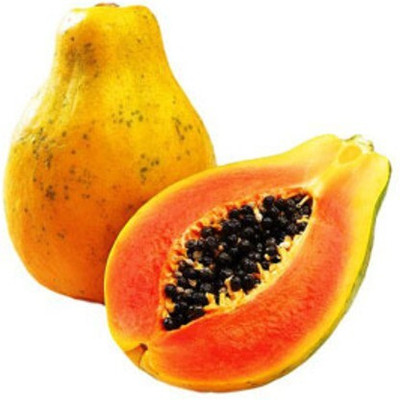 Quentova Papaya Seeds Dwarf Variety-IACR-7V Seed(40 per packet)