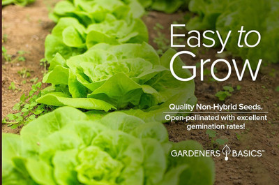 Qualtivate RES-8A Butterhead Boston Bibb Buttercrunch Lettuce Seed(300 per packet)