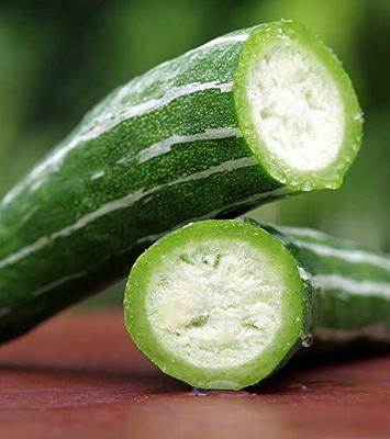 Qualtivate PUA-7A Open Pollinated Snake Gourd Seeds Seed(25 per packet)