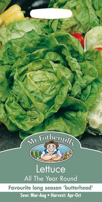 CYBEXIS Vegetable Seeds, Lettuce All The Year Round4000 Seeds Seed(4000 per packet)