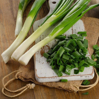 WILLVINE MAH -XII Bunching Evergreen White Nebuka Onion [50g] Seed(30000 per packet)