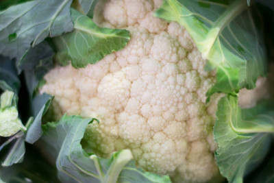 Herbex white cauliflower,gobhee seeds Seed(45 per packet)