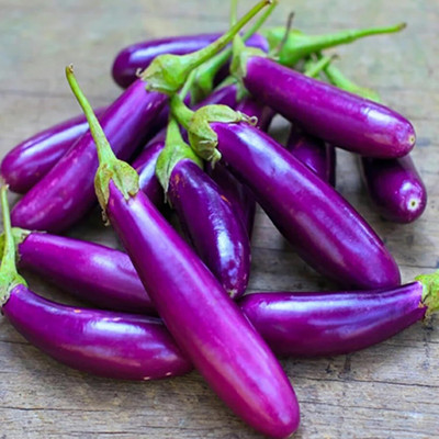 Biosnyg Early-Maturing Purple Long Eggplant Brinjal ( Seeds) Seed(2000 per packet)