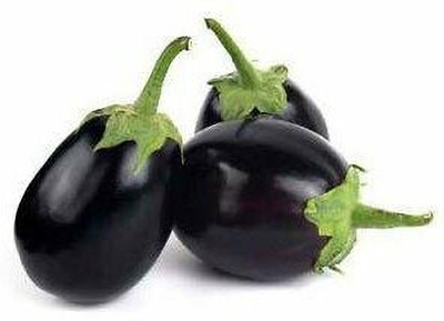 ENINE Round Purple Brinjal Bengan F1 Hybrid Beej 250 Seeds GG38 Seed(250 per packet)