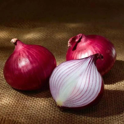 Biosnyg Non GMO Red Baron Onion Seeds For Gardening-(3000 Seeds) Seed(3000 per packet)