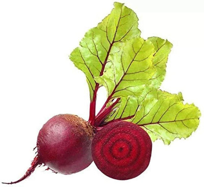 CYBEXIS Beetroot Seeds Cold-Resistant Vegetables Non-GMO Heirloom2000 Seeds Seed(2000 per packet)