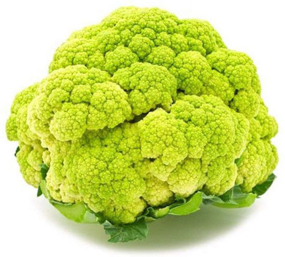 WILLVINE Cauliflower, Phool Gobhi Gardening Seeds-[2000 Seeds] Seed(2000 per packet)