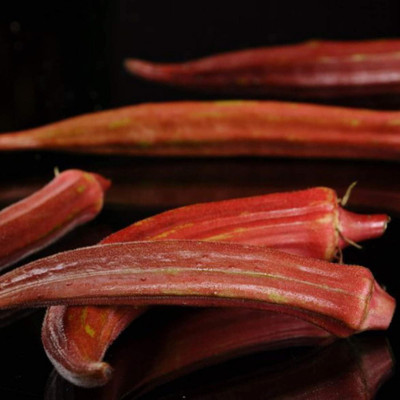 KNESSiN Red Okra Seed(1250 per packet)