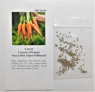 VibeX ® XXL-412 Seeds Carrot Caracas(Orange) Seed(500 per packet)