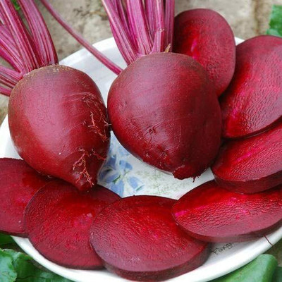 CYBEXIS Hybrid Beetroot Seeds Detroit2000 Seeds Seed(2000 per packet)