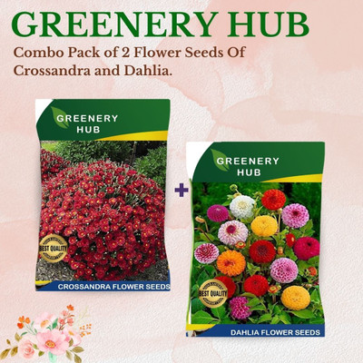 Greenery Hub Combo Of Two Flower Seeds- Fresh Floral Touch for Your Terrace Oasis Seed(50 per packet)