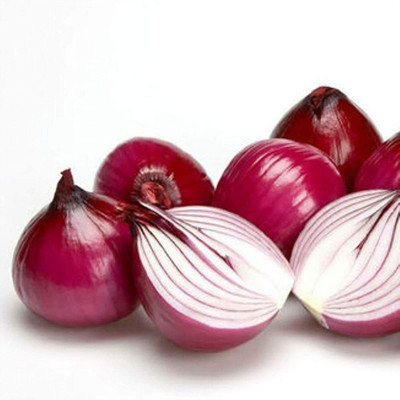 CYBEXIS Onion Seed(2000 per packet)
