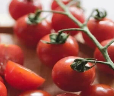 LPR tomato,tamatar Seed(200 per packet)
