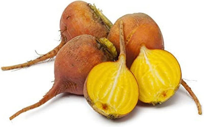 KNESSiN Beetroot Yellow Seed(1250 per packet)