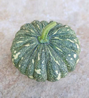 Farmonix Pumpkin Kaddu Vegetable Seed(50 per packet)