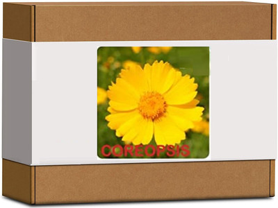 CYBEXIS Coreopsis Flower Seeds200 Seeds Seed(200 per packet)
