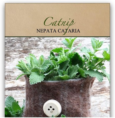 Qualtivate VXI-79 Nepeta Cataria Common Catmint Seed(1000 per packet)