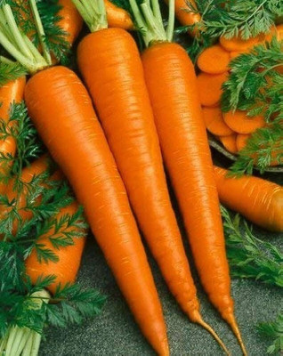 AloGardening Hybrid F1 Carrot/Gajar Vegetables Seeds Seed(25 per packet)