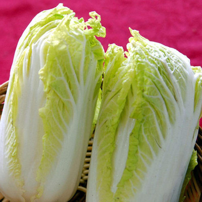 CYBEXIS Greenhouse Vegetables Chinese Cabbage Seeds Rapeseed Seeds2000 Seeds Seed(2000 per packet)
