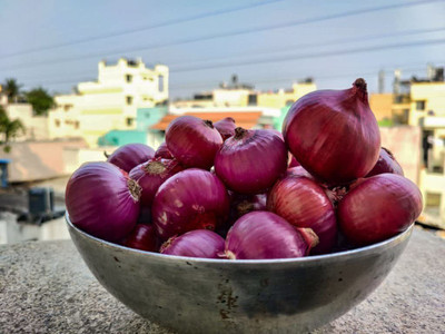 WILLVINE XLL-1496 Imported Onion F1 Hybrid seeds-1500 Seeds Seed(1500 per packet)
