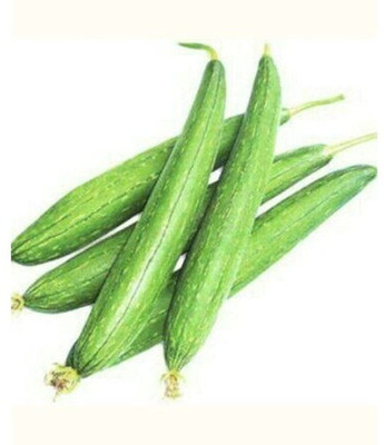 Qualtivate PUA-9A Sponge Gourd (Torai) Vegetable Seeds Seed(50 per packet)