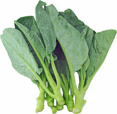 WILLVINE NKR -XIII Chinese Cabbage Seeds - Wan Shen [1g] Seed(300 per packet)