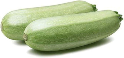 KNESSiN Unique Climbing Zucchini Seed(100 per packet)