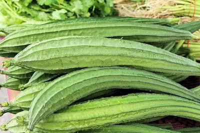 Qualtivate HYB-8A Ridge Gourd |Turia Non-GMO Seed(50 per packet)