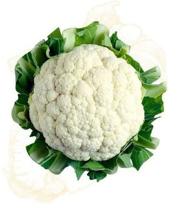 CYBEXIS HUA-99 - Pusa Hybrid Cauliflower - (150 Seeds) Seed(150 per packet)