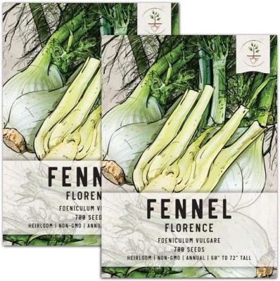 VibeX Fennel Seed Heirloom Seed(500 per packet)