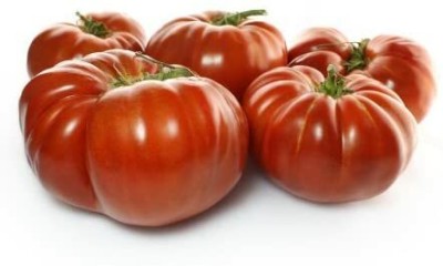 CYBEXIS Classic Beefsteak Tomato2000 Seeds Seed(2000 per packet)