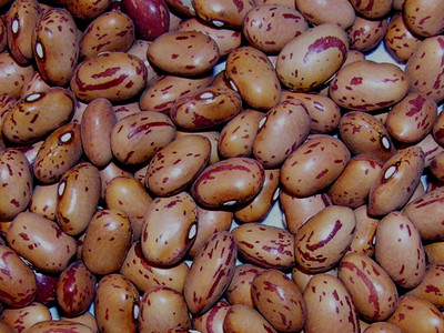 BJUBAS Long beans seeds pack of 13 Seed(13 per packet)