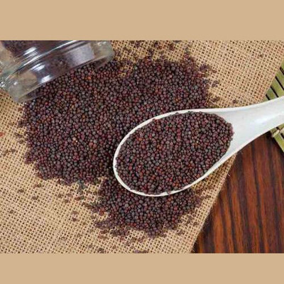 CYBEXIS Pahadi Black Jakhiya Seeds800 Seeds Seed(800 per packet)