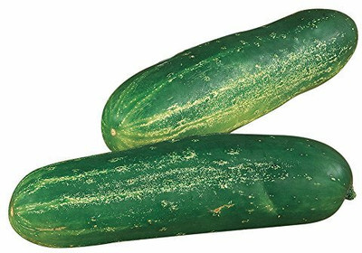 WHYGI Cucumber Sweet Success F1 Seed-CuC_1236 Seed(250 per packet)