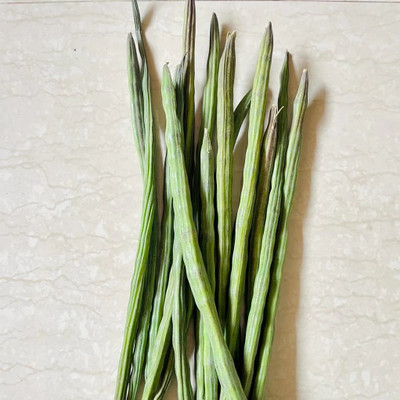 RSLT Drumstick - Moringa Oleifera Seed(100 per packet)