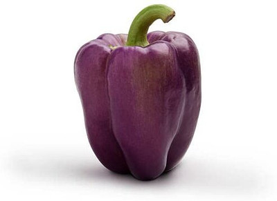 DIVINE CABBAGE Seed(65 per packet)