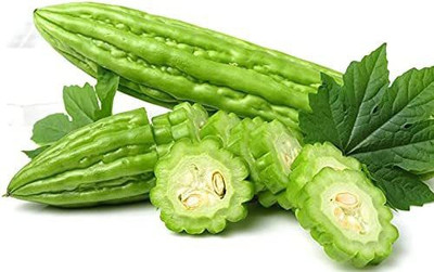 CYBEXIS LX-30 - Karela Bitter Gourd - (900 Seeds) Seed(900 per packet)