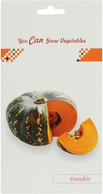 CYBEXIS Pumpkin Hybrid Seeds 400 Seeds Seed(400 per packet)