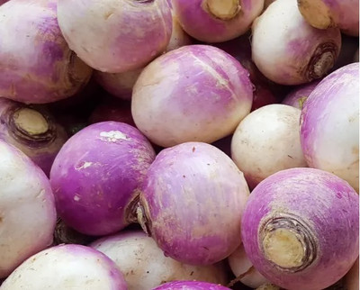 MYLAWN White Purple Ball Turnip/Shalgam Seed(2000 per packet)