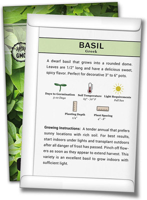 WILLVINE Non-GMO Hybrid Greek Basil Seeds Seed(5000 per packet)