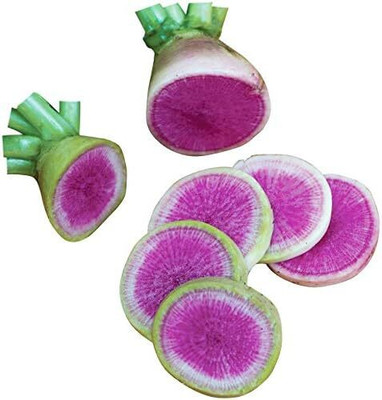 Qualtivate GBPT-3A Exotic Radish Watermelon Seeds Seed(300 per packet)