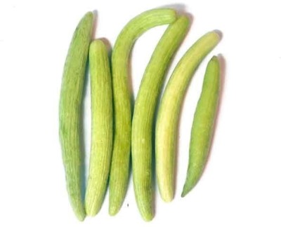 VibeX TLX-92 - Hybrid Cucumber - Long Melon - (1350 Seeds) Seed(1350 per packet)