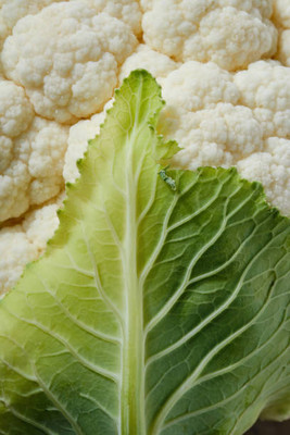 Radhakrishna white cauliflower,gobhee seeds Seed(45 per packet)