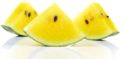 Quentova Juicy Yellow watermelon Seeds/तरबूज के बीज-LNT-7H Seed(150 per packet)