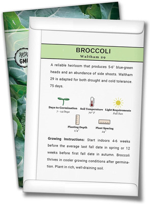 VibeX ® RXI-681 Greenback Imported Broccoli Seed(200 per packet)