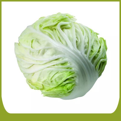 Quentova Organic green cabbage-IACR Seed(75 per packet)