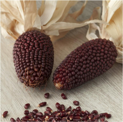Qualtivate LX-549 Strawberry Ornamental Popping Corn Seed(500 per packet)