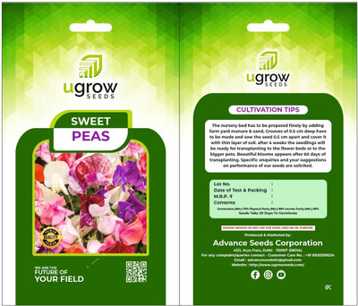 Clint AGRIMAX GARDENS SWEET PEA SYMPHONY MIX: FRAGRANT FLOWER SEEDS & PLANTS Seed(40 per packet)