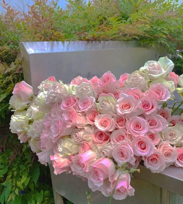 Qualtivate XLR-537 Rose Flower Seeds Seed(50 per packet)
